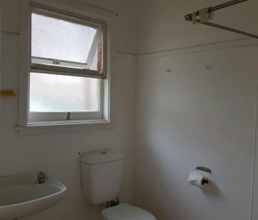 LARGE 1 BEDROOM SINGLE LEVEL - Photo 4
