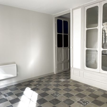 Location Appartement 1 pièce 25m² ANNONAY 07100 - Photo 4