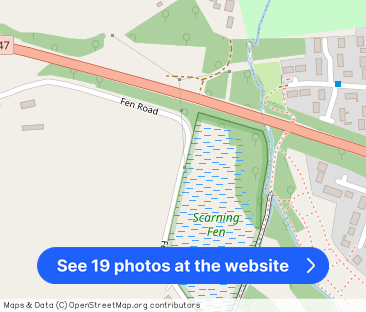 Scarning Fen, Dereham, NR19 - Photo 1