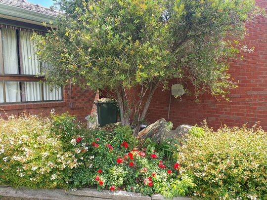 Craigieburn - Photo 1