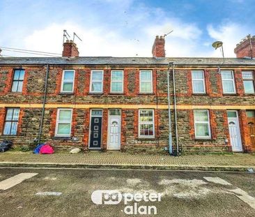 Crwys Place, Roath, Cardiff, CF24 - Photo 3