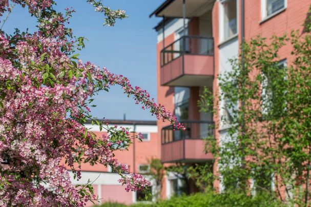 Levertinsgatan 12, 75430, Uppsala - Photo 1
