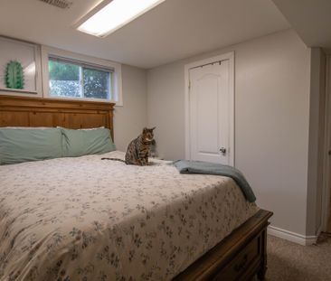 All Inclusive 2 Bedroom Unit in St. Catharines!! - Photo 5