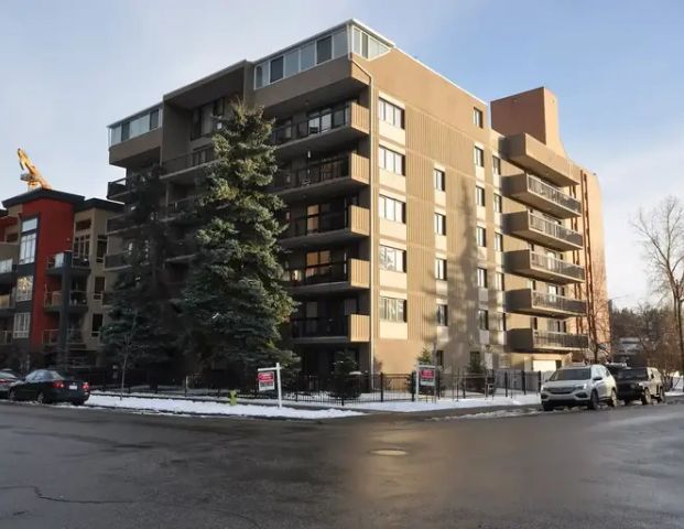 Spacious 2 bedroom 1.5 bathroom apartment in Beltline! | 206 - 1033 15 Avenue Southwest, Calgary - Photo 1