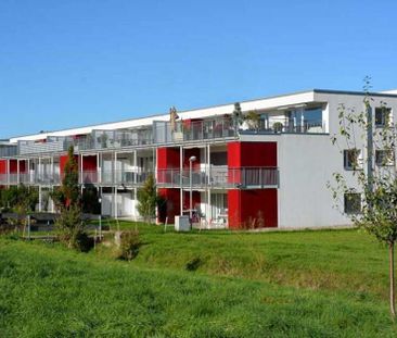 2.5 Zimmer, 66 m², EG - Photo 4