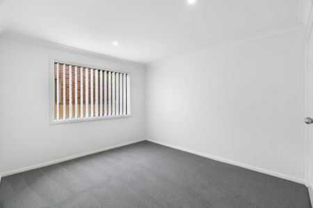 Freshly Updated 3-Bed Gem in Leafy North Gosford - Photo 3