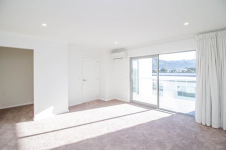 Petone 3 Bedrooms - Photo 3