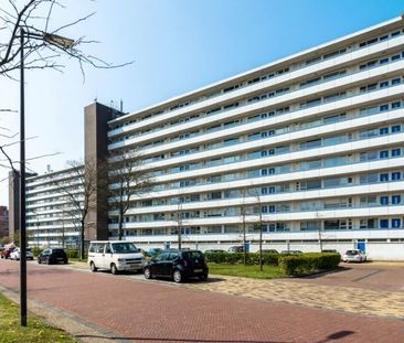 Apartment Alkmaar - Honthorstlaan - Photo 2