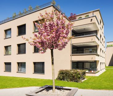 Ihre Traumwohnung mit Eigentumsstandard - Foto 1