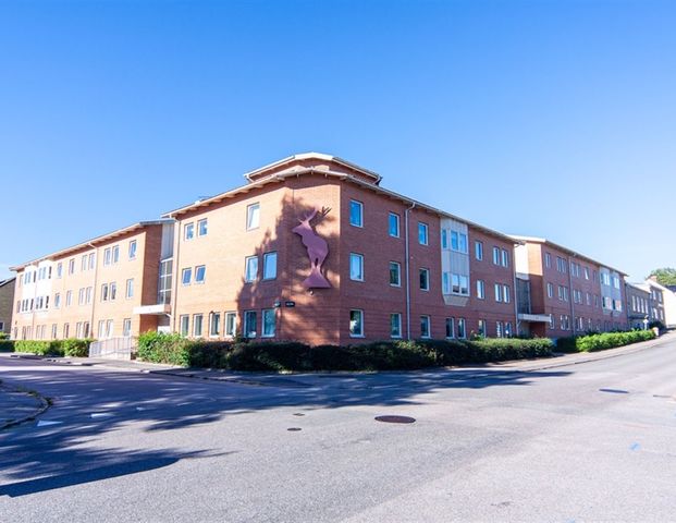 Oskarsgatan 8 - Foto 1