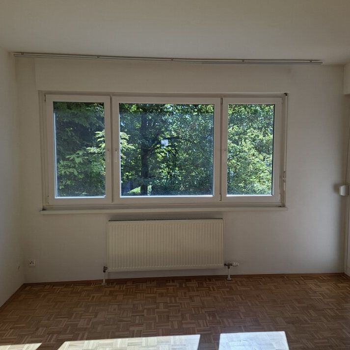 Gemütliche Dreizimmerwohnung in absoluter Grünruhelage - Photo 1