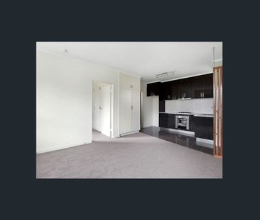 Sunlit Apartment with Treetop Views! - Photo 2