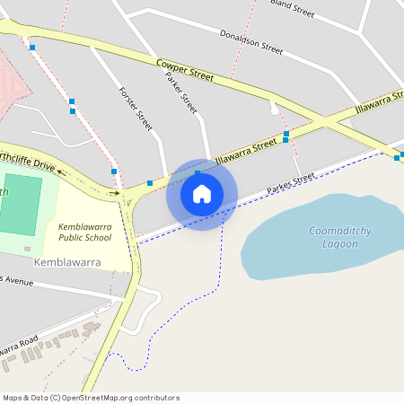 81 Parkes Street, NSW 2505, Port Kembla