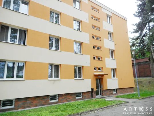 Pronájem zařízeného bytu 2+1, 51 m - Photo 1