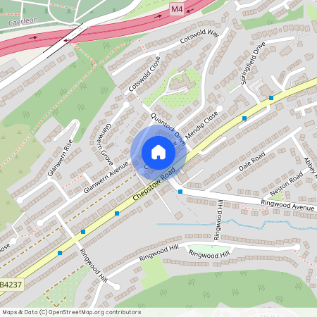 Chepstow Road, Newport. NP19 9BY