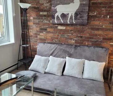 Beau 3,5 frais peinturer avec terrasse sur le toit - Photo 4
