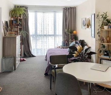 Apartment Living in Aro Valley - Photo 5