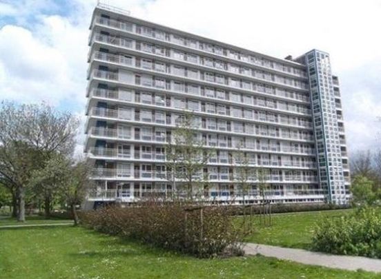 Burgemeester Hazenberglaan 3078 Rotterdam - Foto 1
