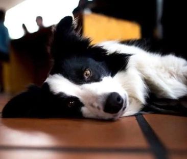 Highgate Hill - Photo 2