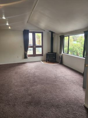 196 Main Road South - Photo 1