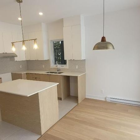 Logement 3 1/2 (1 an d'usure) - Photo 4