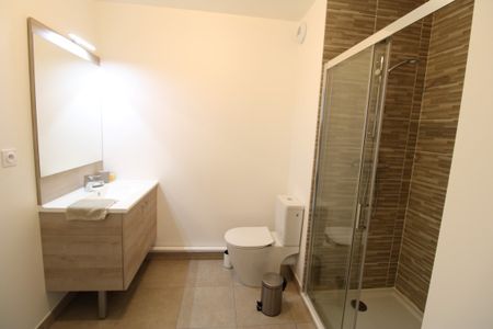 Location Appartement 1 pièce 18m² NANTES 44000 - Photo 4