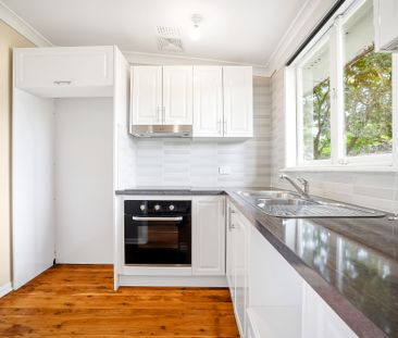 Renovated Three Bedroom Home - Photo 3