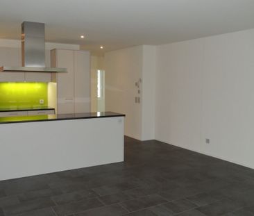 Paar oder Singlewohnung mit grossem Sitzplatz - Photo 1