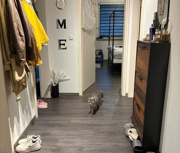 Moderne 2 Zimmer Wohnung mit Balkon und Fußbodenheizung & Tiefgar - Photo 2