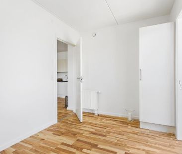 Skønt, naturrigt og børnevenligt område - Photo 2
