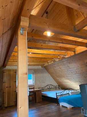 Rustikale und energetisch sanierte 2-Zimmer DG-Wohnung Hofstetten - Photo 1