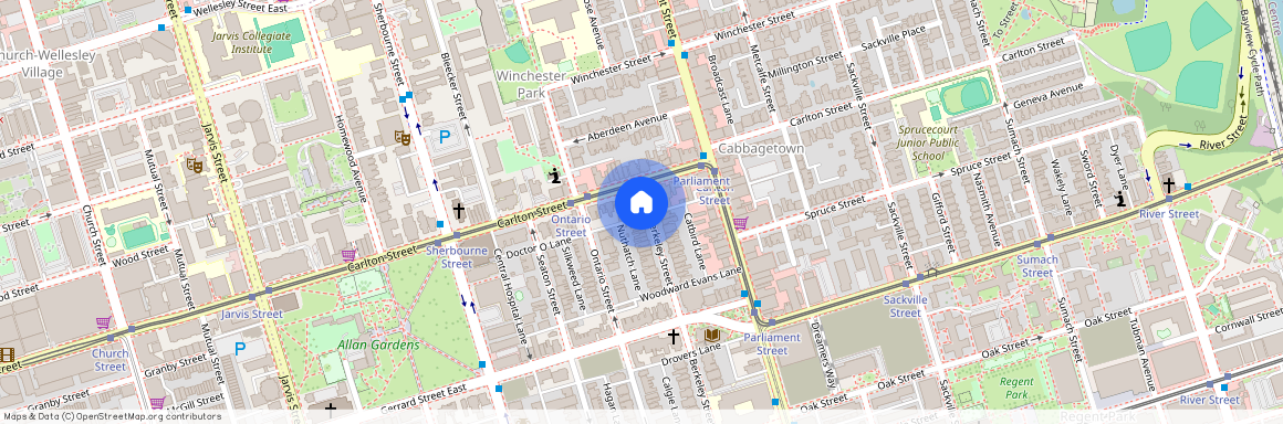 215-217 Carlton Street Unit# Unit 1, Toronto