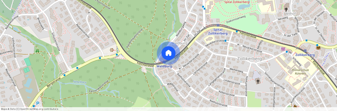 8125, Zollikon, Im Ziel, 35