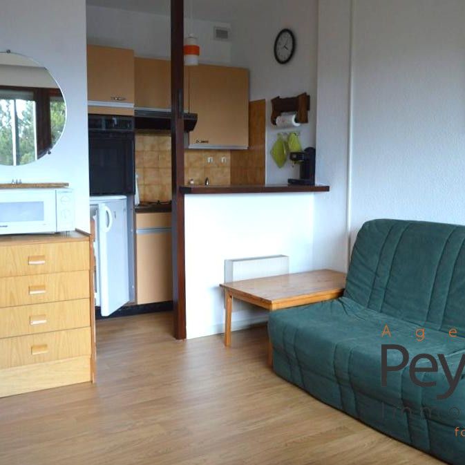 Location Appartement 1 pièce 25m² FONT ROMEU ODEILLO VIA 66120 - Photo 1