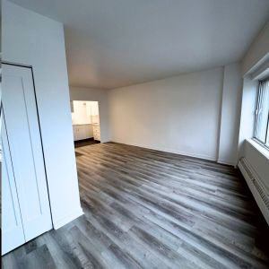 Renovated 2.5 – 175 Sherbrooke O - Photo 2