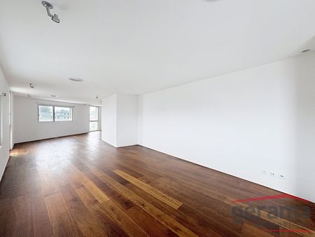 Magnifique loft de 138m2 au 11ème étage à Fribourg - Photo 3