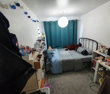4 bedroom house share to rent - Photo 4
