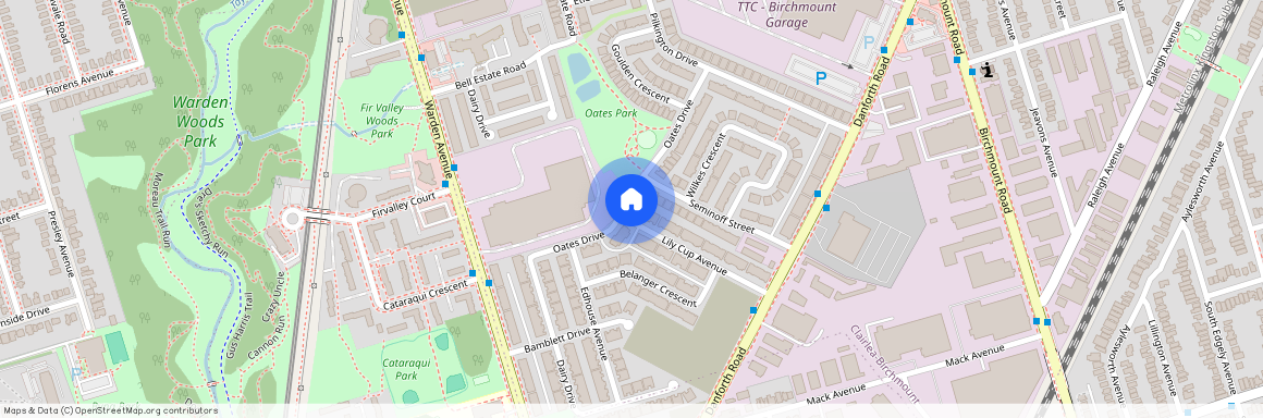 71 Lily Cup Avenue Unit# BSMT, Toronto