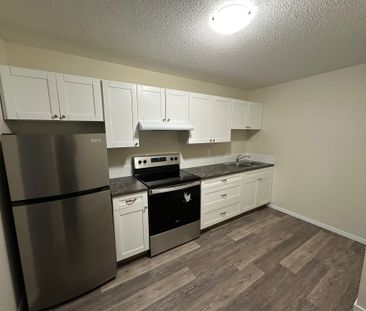 Charming 1 Bed 1 Bath Apartment in heart of DOWNTOWN Red Deer - Photo 5