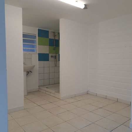 Location appartement 1 pièce, 35.00m², Ducos - Photo 4