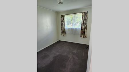 Newly Renovated 3 Bedroom Home - Photo 2