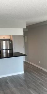 Newly Renovated Two Bedroom Suite for Rent - Photo 3