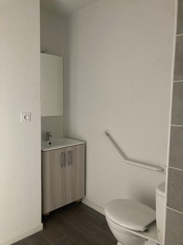 Location Appartement 1 pièce 19m² AUZEVILLE TOLOSANE 31320 - Photo 4