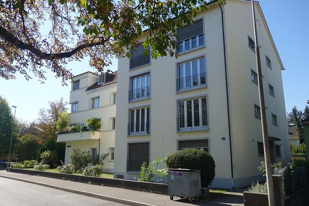 Kleinbasel MFH Allmendstrasse - Foto 1