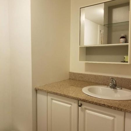 1 CH - 1 SDB - Montréal - $1,150 /mo - Photo 4