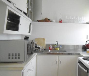 Fresh as a Daisy - Photo 6