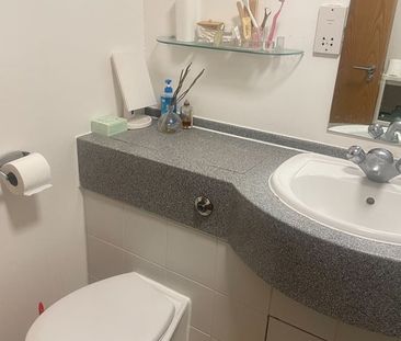 Room in a Shared Flat, Cramer Street, W1U - Photo 5
