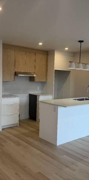 1 mois gratuit - Logement 5 1/2 demi Sous-sol - Salaberry-de-Valleyfield - Photo 1