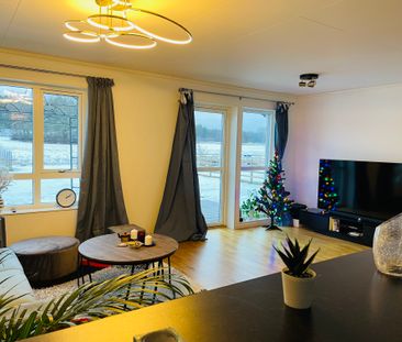 Begoniaslingan, Bro - Foto 4