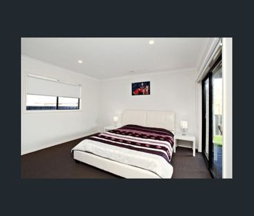 Spacious Family Home in Manor Lakes - Photo 4